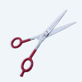 6.5 Inch Premium Quality Hairdressing German Stainless Steel Shiny SuperCut Barber Scissor with Flat Screw Adjuster & Finger Rest